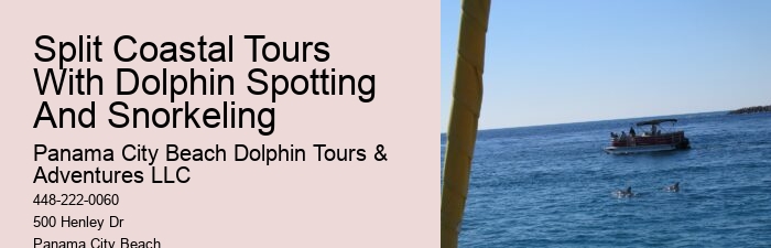 Closest Dolphin Tour Near Me