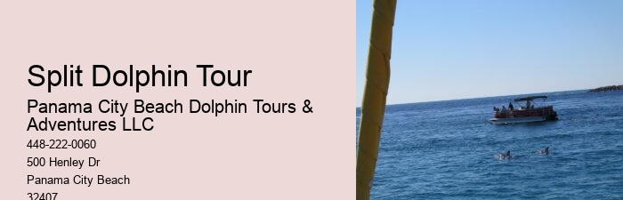 Secluded Dolphin Adventure and Snorkeling Experience