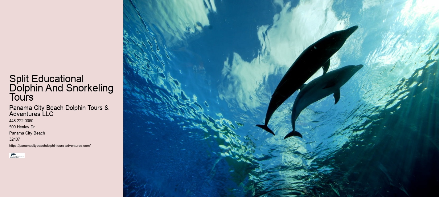 Can I Hug A Dolphin