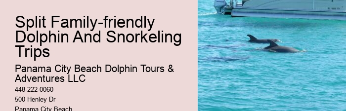 Panama City Beach dolphin discovery excursions