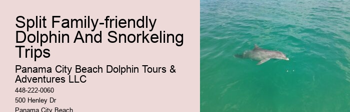 Intimate Dolphin Exploration and Snorkeling