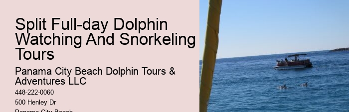 Split Catamaran Dolphin Watching And Snorkeling Expeditions