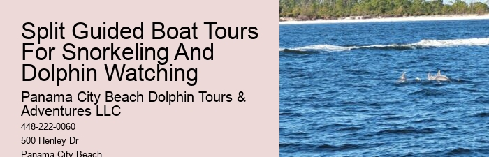 Dolphin And Snorkel Tours Panama City Beach