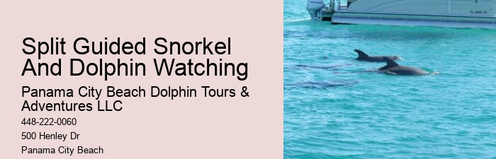 Frequently Asked Questions About Shell Island In Panama City Beach
