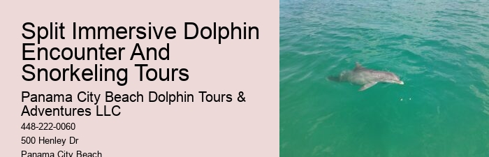 Snorkeling And Dolphin Cruise From Split