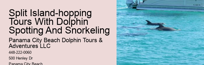 Dolphin Tour And Snorkeling Near Me