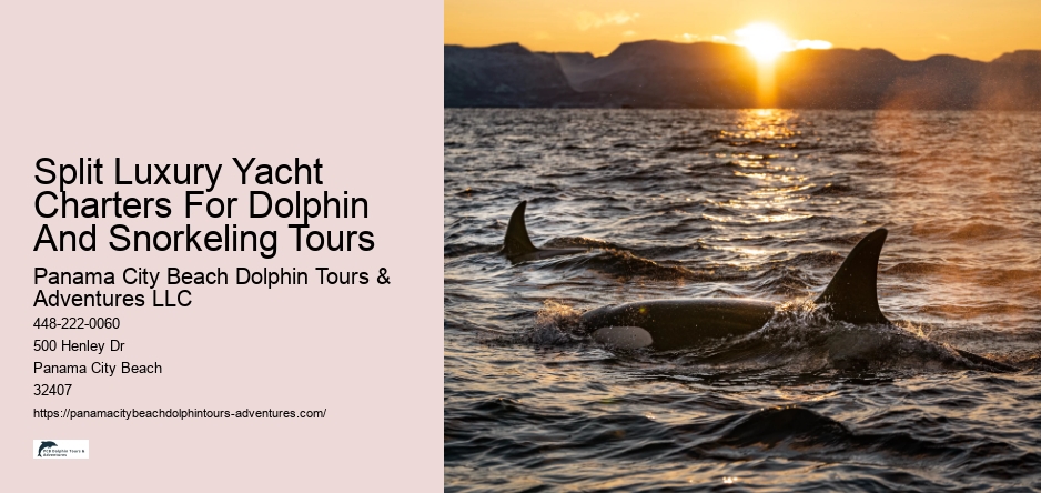 Split Luxury Yacht Charters For Dolphin And Snorkeling Tours