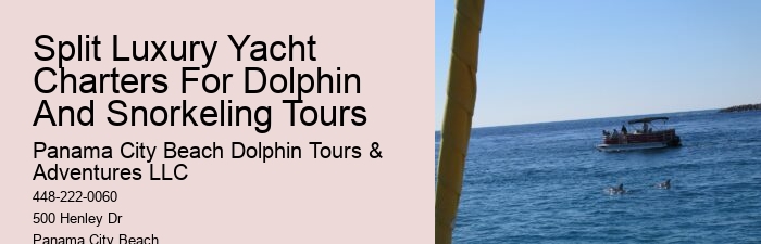 Panama City Beach dolphin boat excursions