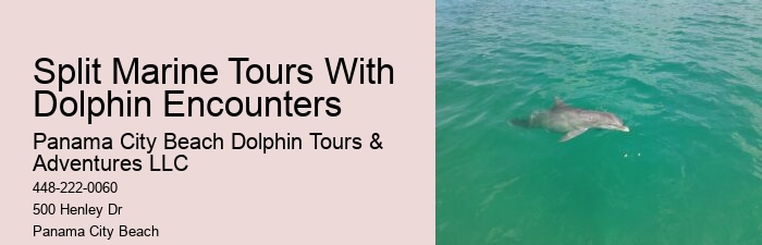 Shell Island Blue Dolphin Tours
