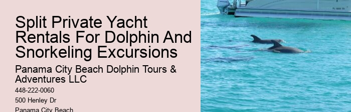 Panama City Beach Dolphin Swim Adventure