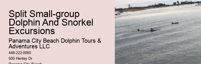PCB Dolphin Discovery Voyages