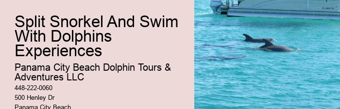 Panama City Beach dolphin discovery experiences