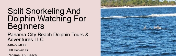 Are Dolphin Shows Ethical