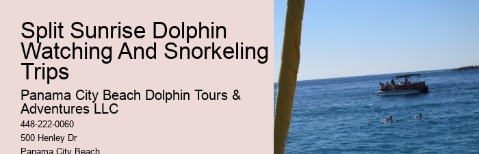 Split Coastal Tours With Dolphin Spotting And Snorkeling