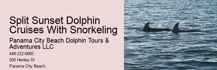 Panama City Beach Private Dolphin Tours