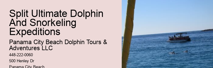 Dolphin Tales: Dolphin Mating Habits