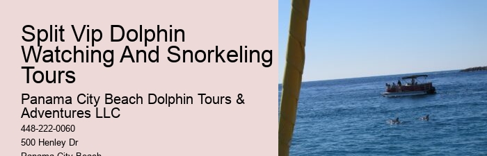 Charter Dolphin And Snorkeling Tours