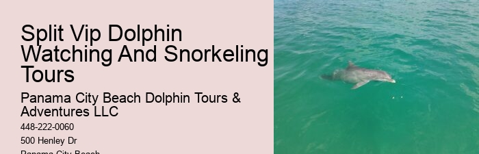 Dolphin Swims: A Code Of Conduct