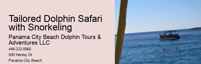 Panama City Beach dolphin exploration trips