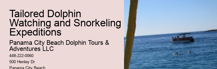 Rosemary Beach Dolphin Tours