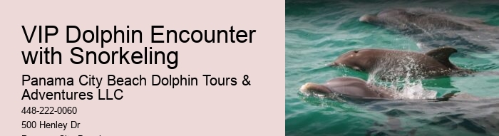 Flippers Dolphin