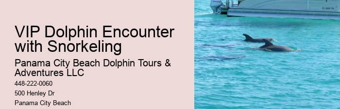This Is How Dolphins 'see' Humans With Echolocation
