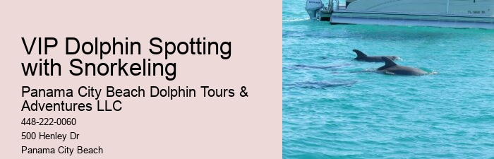 Panama City Beach dolphin watching trips