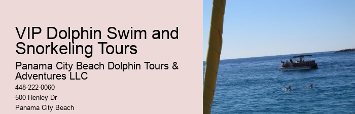 How Much Does It Cost To Swim With The Dolphins At Dolphin Cove